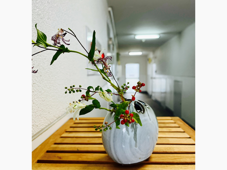 11月もよろしくお願い致します