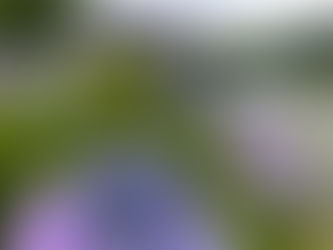 6月のご予約受付中です
