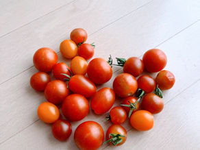 8月の予約受付中です