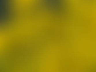 4月もよろしくお願い致します