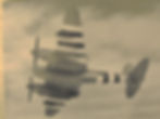 Mosquito of the PRU