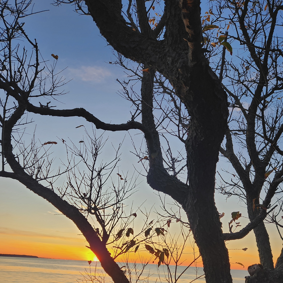 Transform Your Life Through Individual Sessions and Workshops