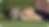 Asset 35.png