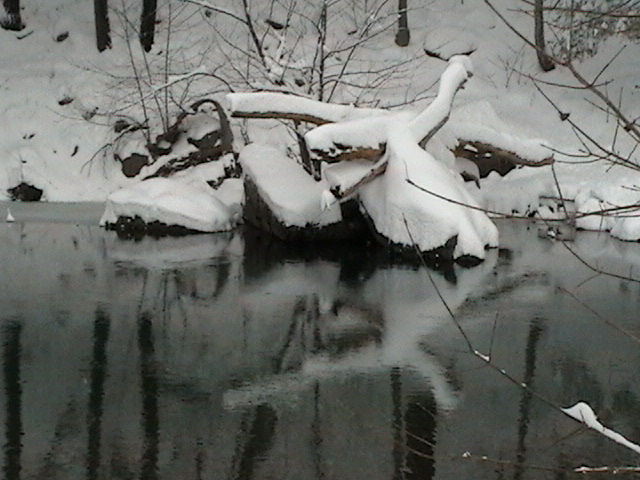 z5reflections.JPG