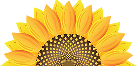 Half sunflower - SCREEN transparent background.png