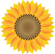 Sunflower only - PRINT.jpg