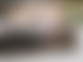 Fédération Colombophile Française