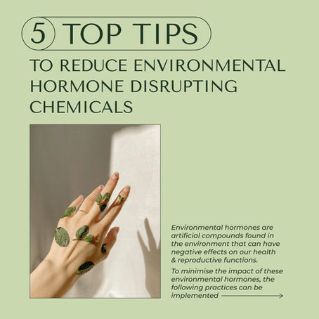 5 Top Tips to Reduce Environmental Hormone Disrupting Chemicals!