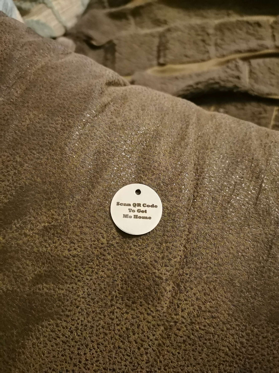 Thumbnail: QR Code Pet Name Tags