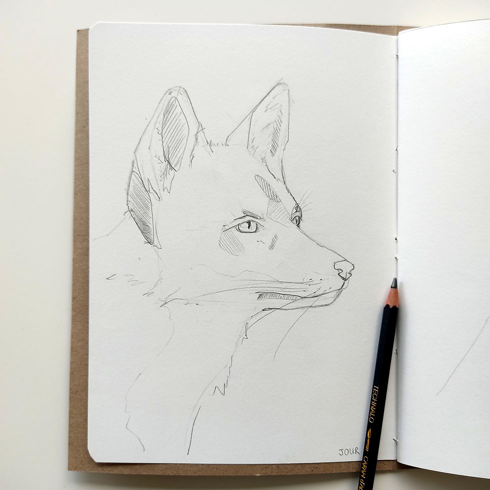 IMG_20211004_175231_jpg