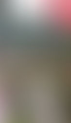 45 edizione del Festival di Giffoni