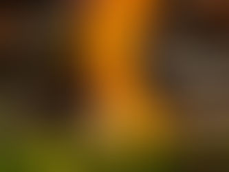 Mobile Hibachi Torrance – The Ultimate Hibachi at Home Experience by JustOne Hibachi