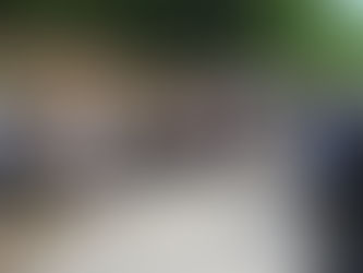 Aragon et Elsa à Saint-Donat