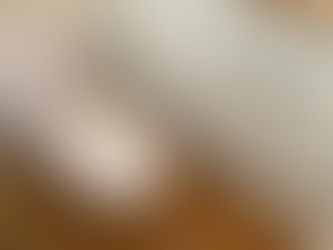 キクチの日常 ~ウォシュレット交換工事~