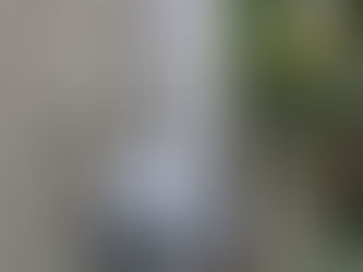 キクチの日常 ~ 2023.10.19~