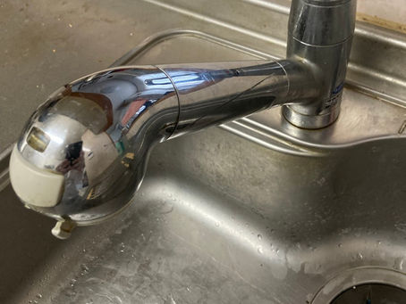 キクチの日常 ~ 2023.10.25~