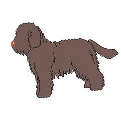 78DDC408-6FBC-42A5-AD4E-FA4FA2E5D8BC 15.png