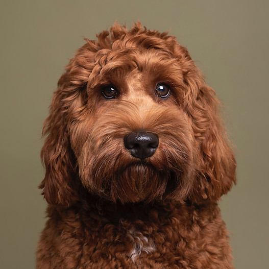 _DSC0028-adobeRGB-HR kopie_edited.jpg