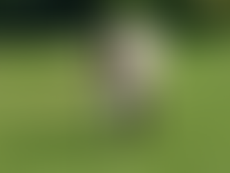 Even Coaches Need a Coach: Why Mindset Matters in Riding