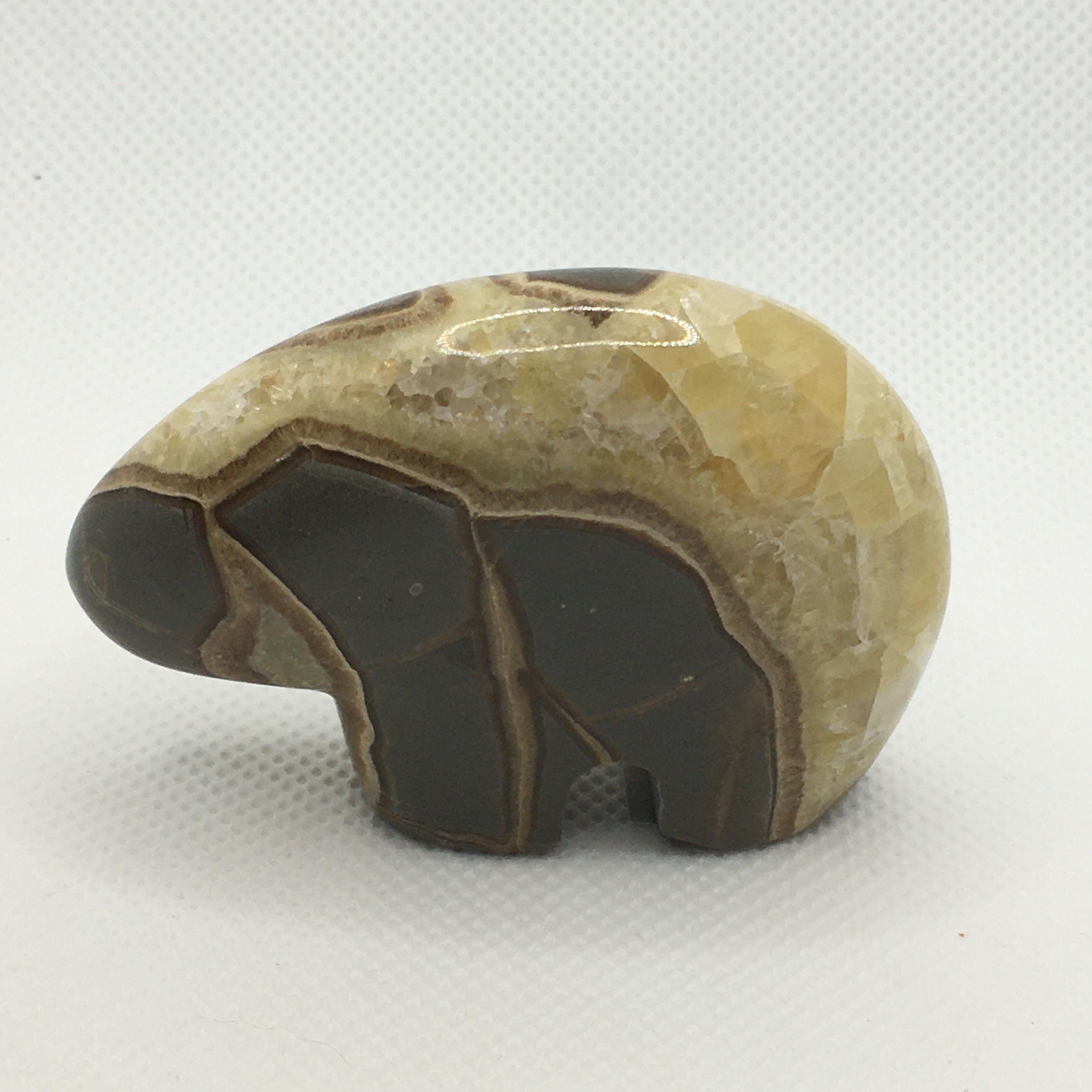 Septarian Bear
