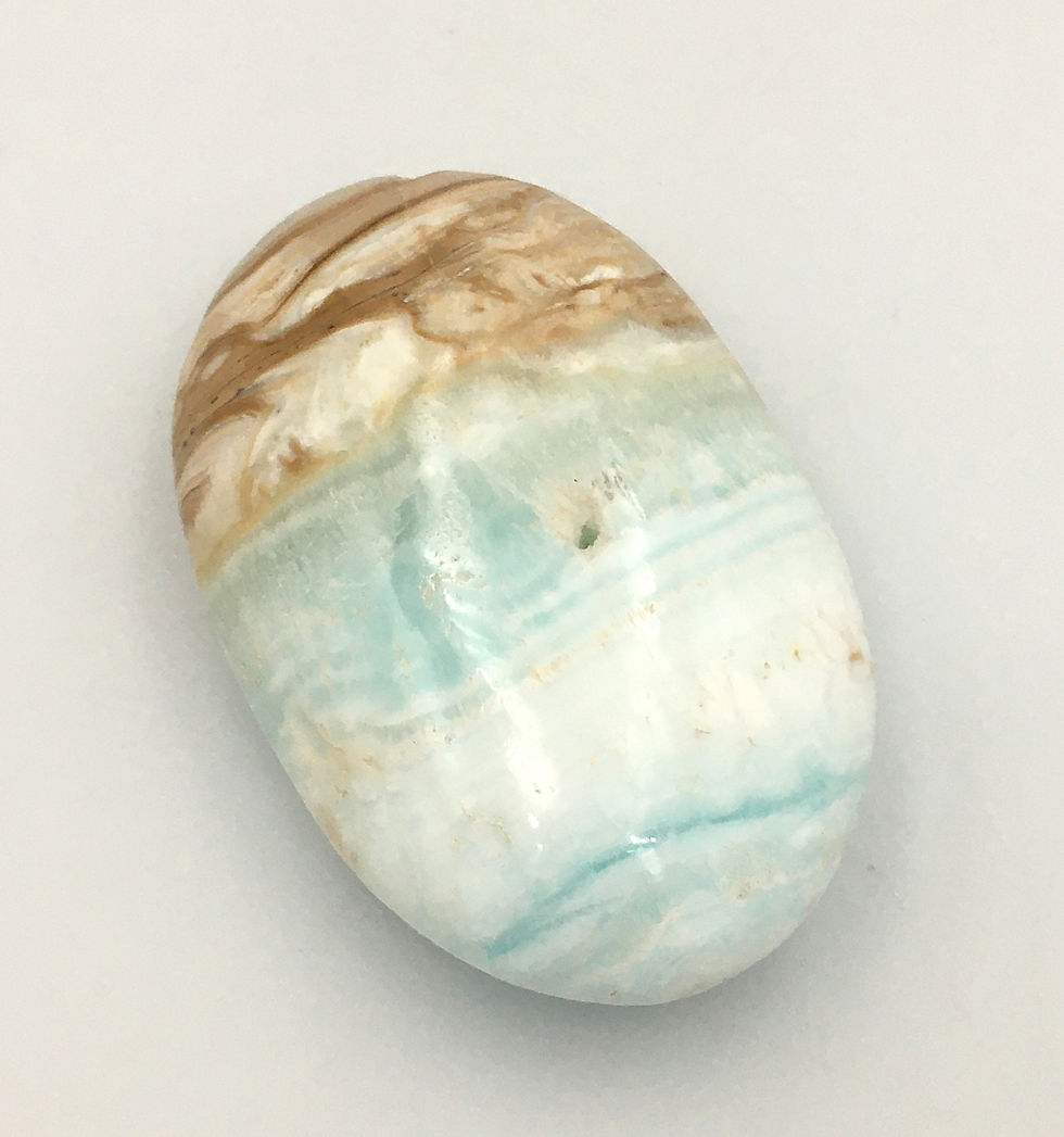 Caribbean Calcite Palm Stone