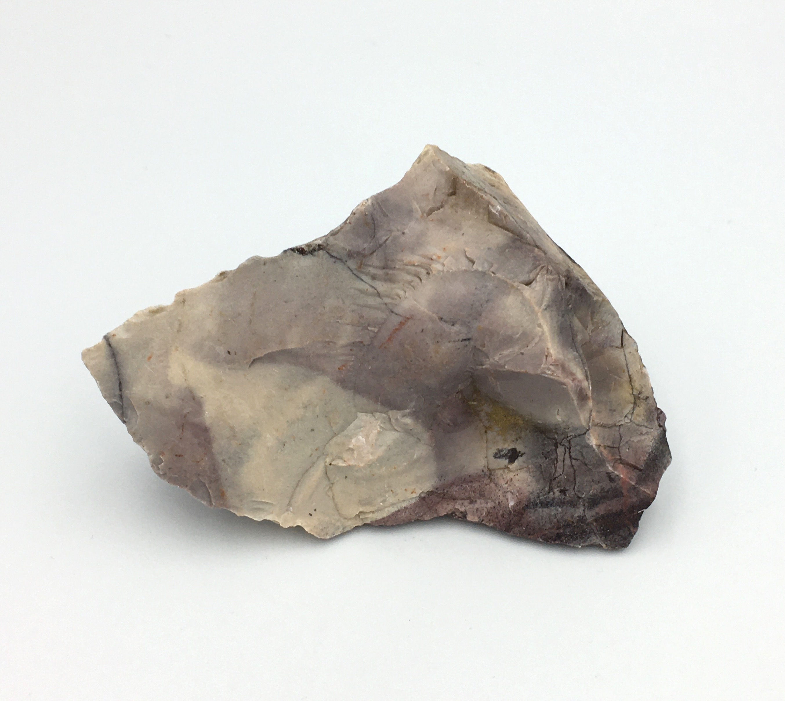 Exotica Jasper AKA Porcelain Jasper