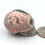 Thumbnail: Rhodochrosite 1 3/4" Skull