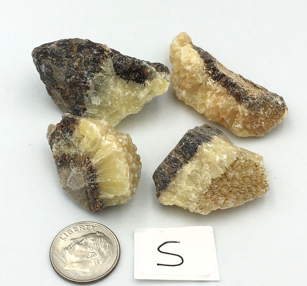 Thumbnail: Septarian