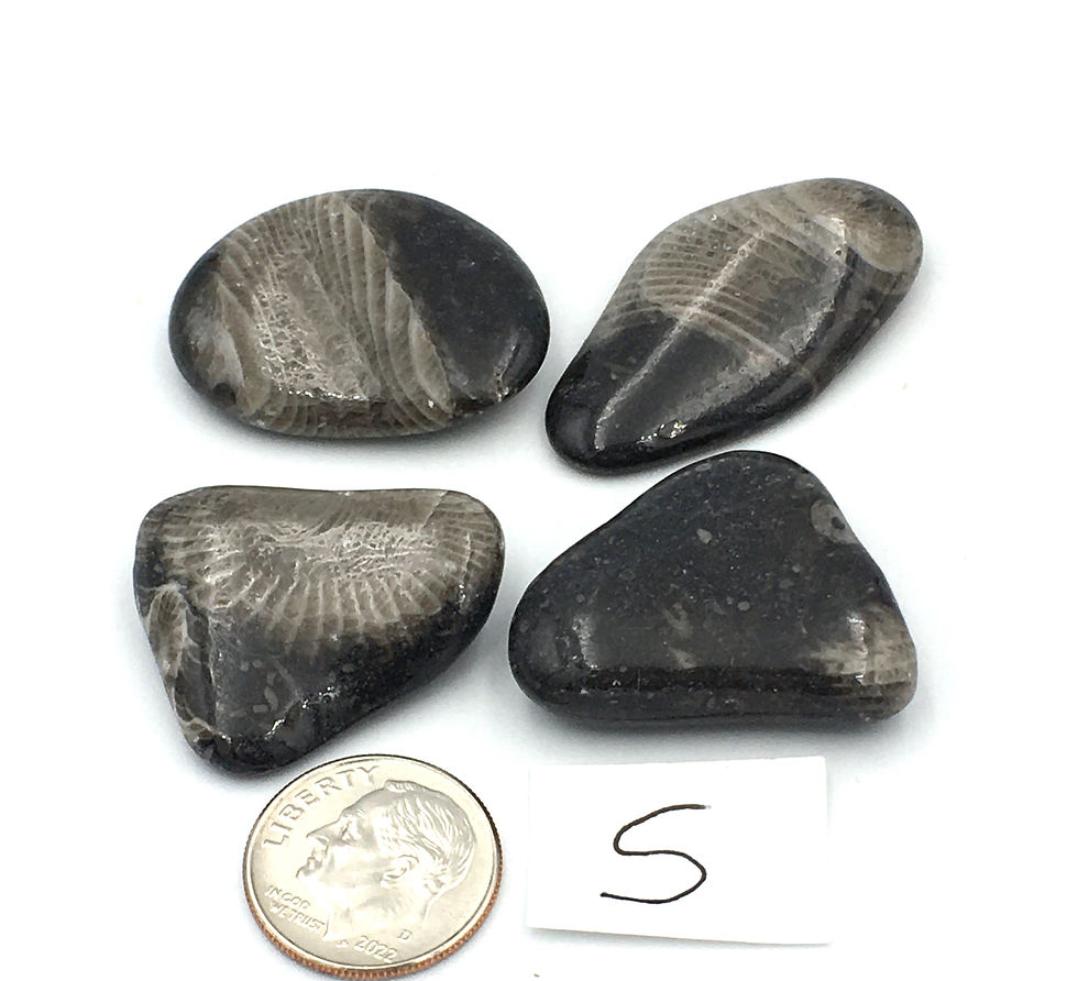 Thumbnail: Vatican Stone