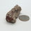 Thumbnail: Petrified Wood Mini Log