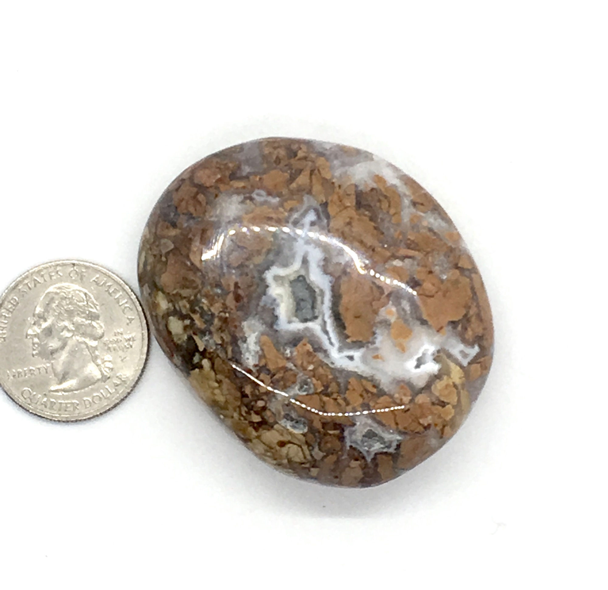 Ibis Jasper Palm Stone