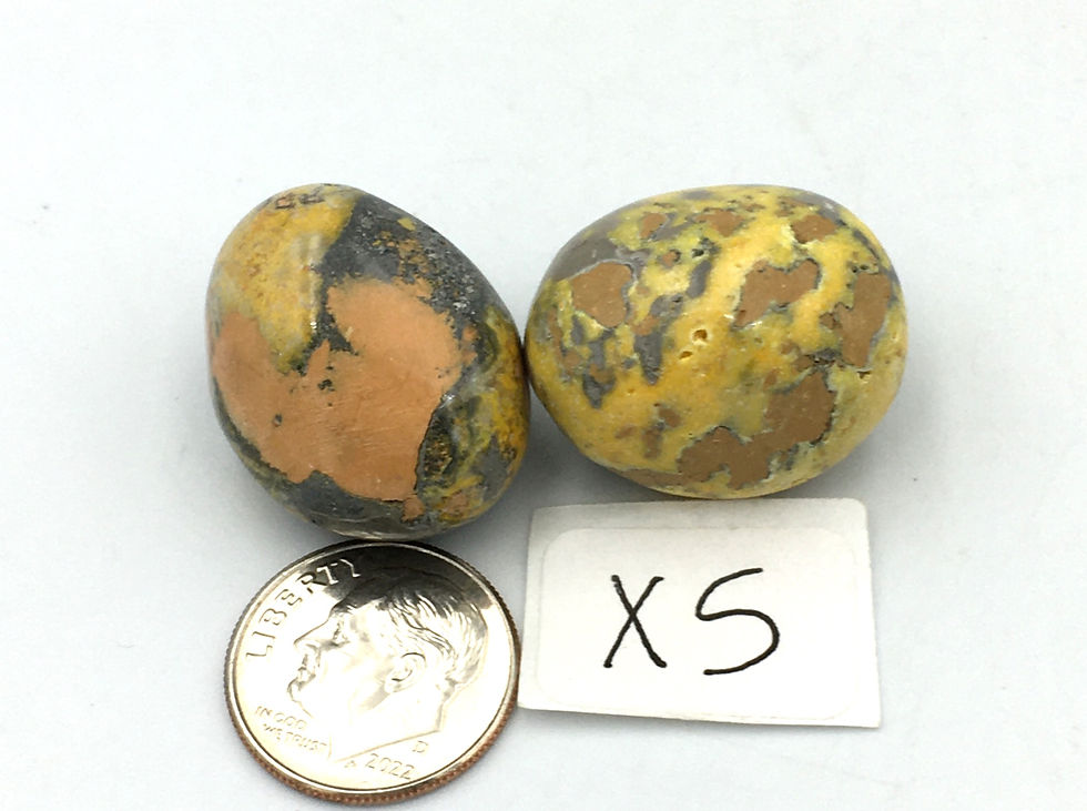 Thumbnail: Bumblebee Jasper
