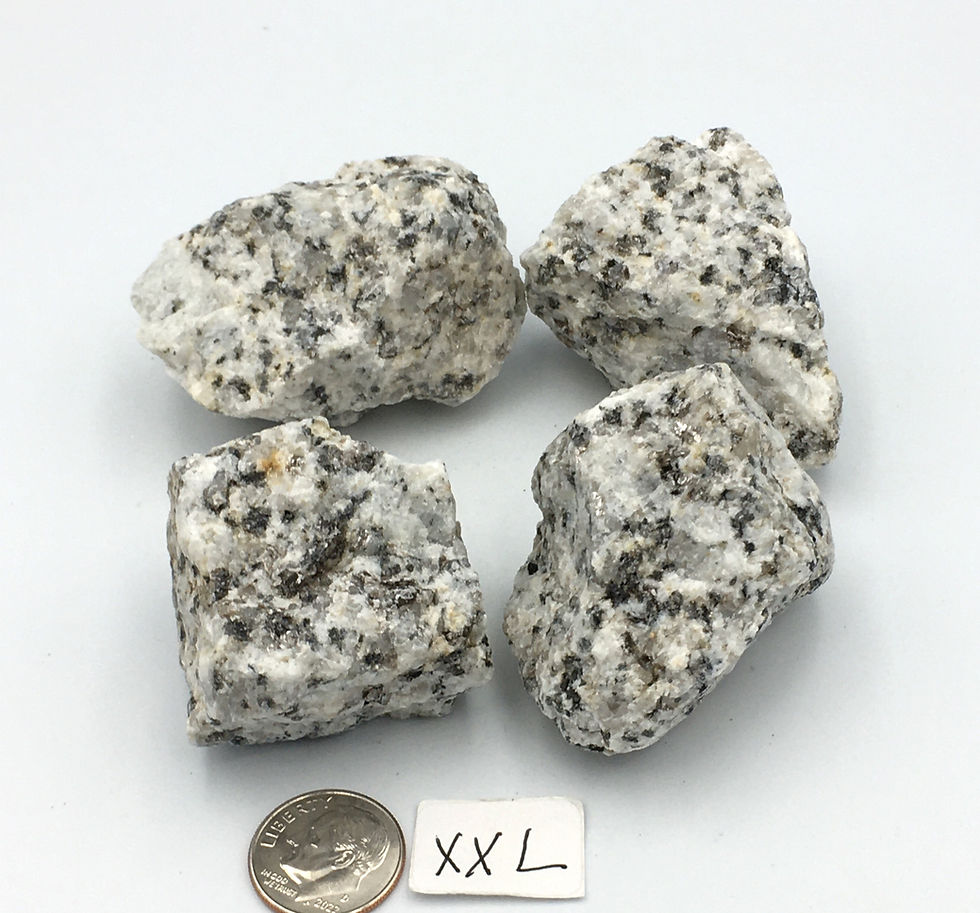 Thumbnail: Dalmatian Jasper
