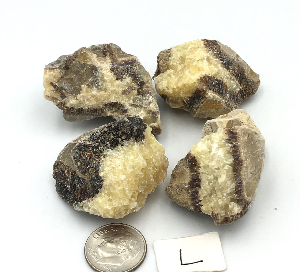 Thumbnail: Septarian