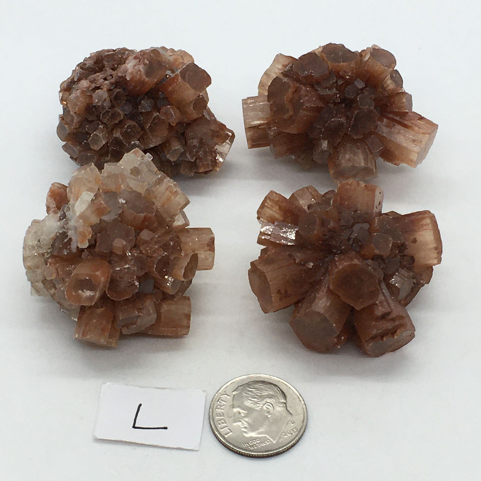 Thumbnail: Aragonite Star Cluster