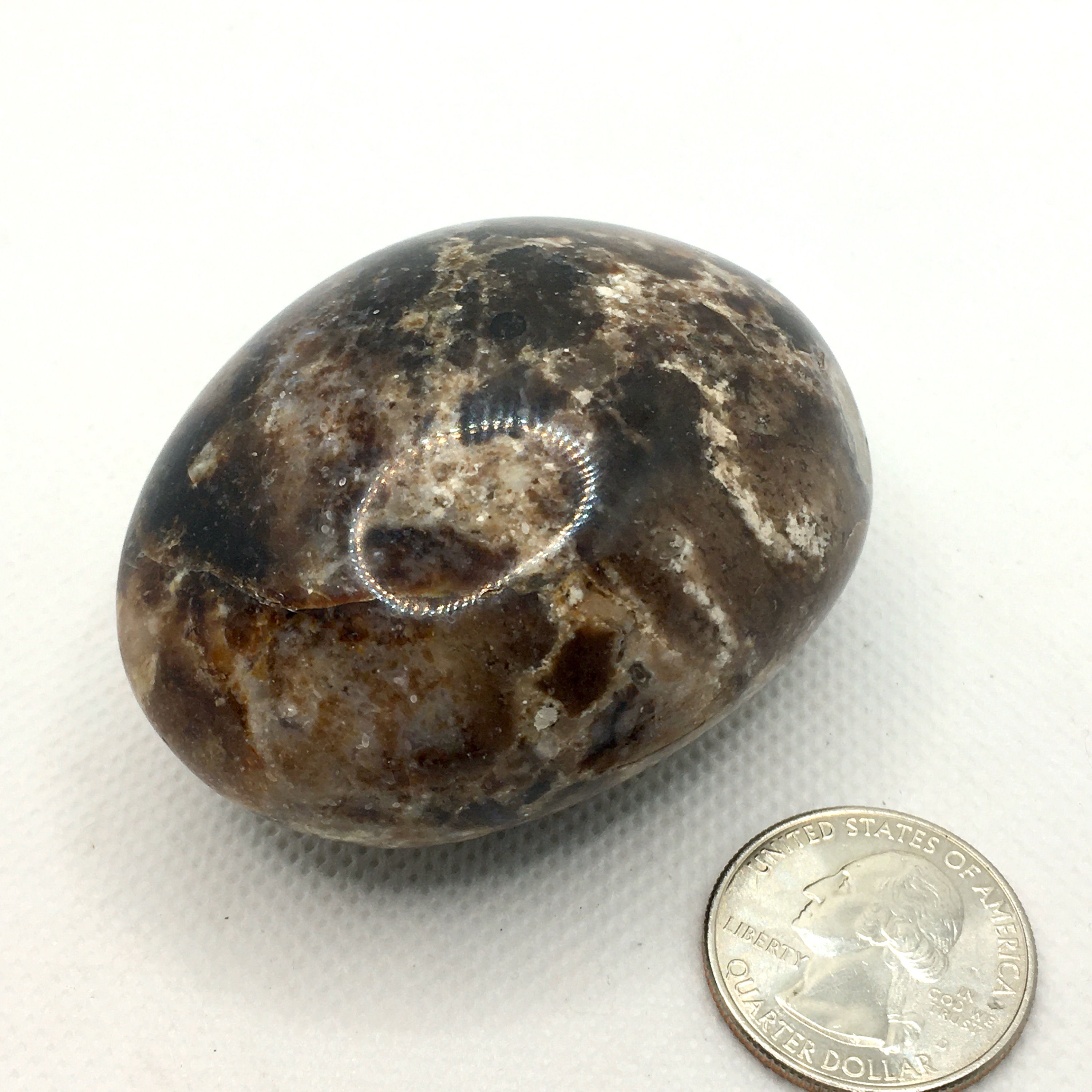 Black Opal Palm Stone