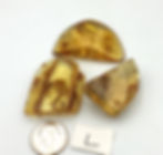 Thumbnail: Amber with Insects from Columbia