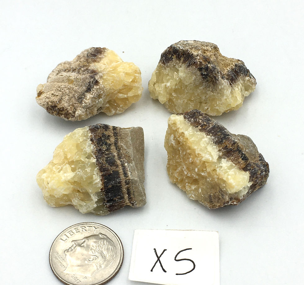 Thumbnail: Septarian