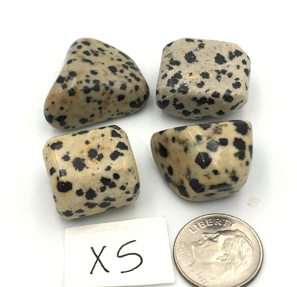 Thumbnail: Dalmatian Jasper