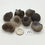 Thumbnail: Elemental Chalcedony Concretions
