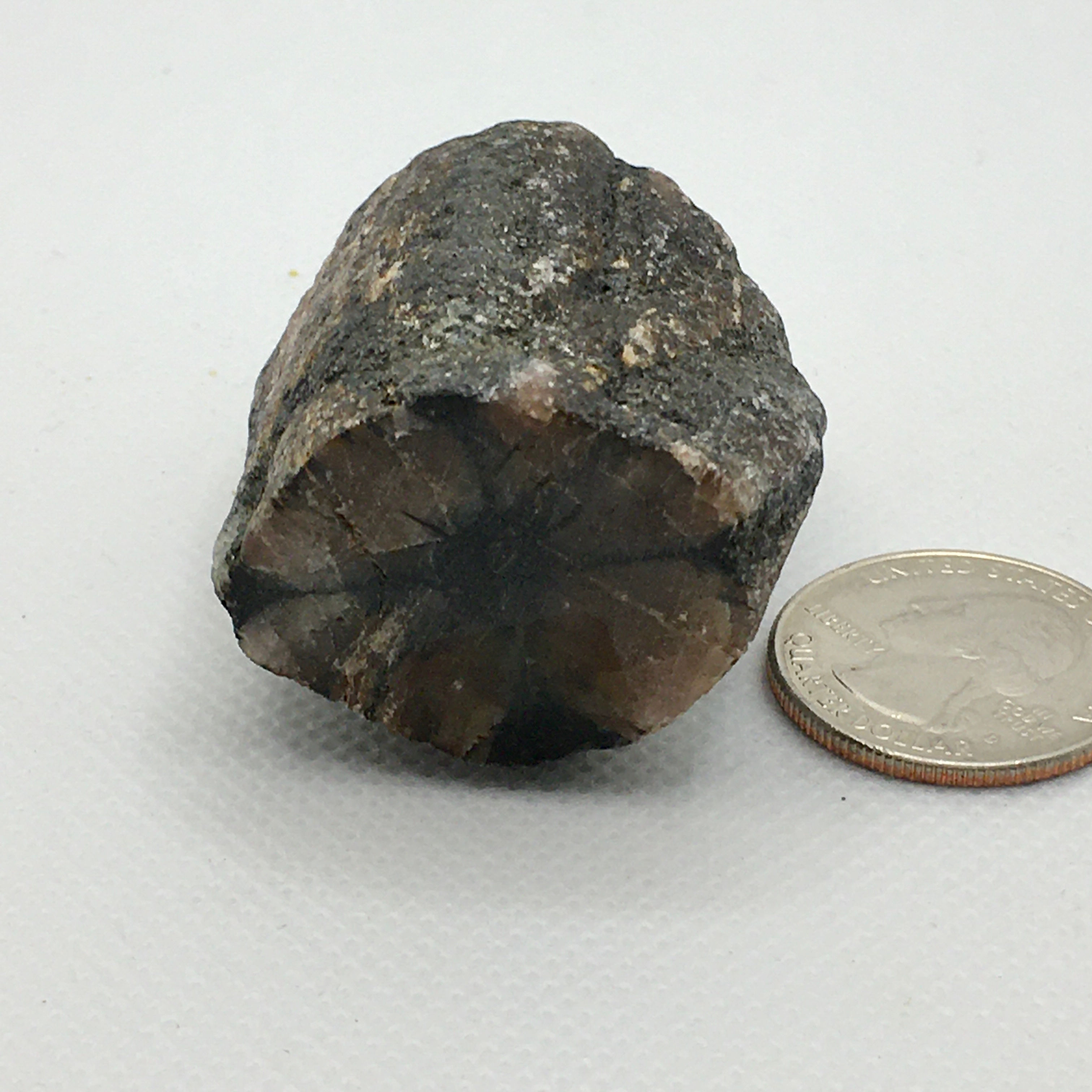 Chiastolite