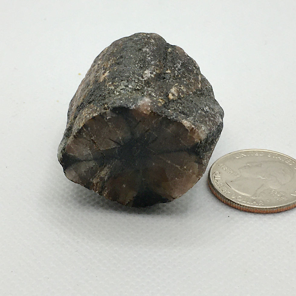 Chiastolite