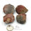 Thumbnail: Polychrome Jasper