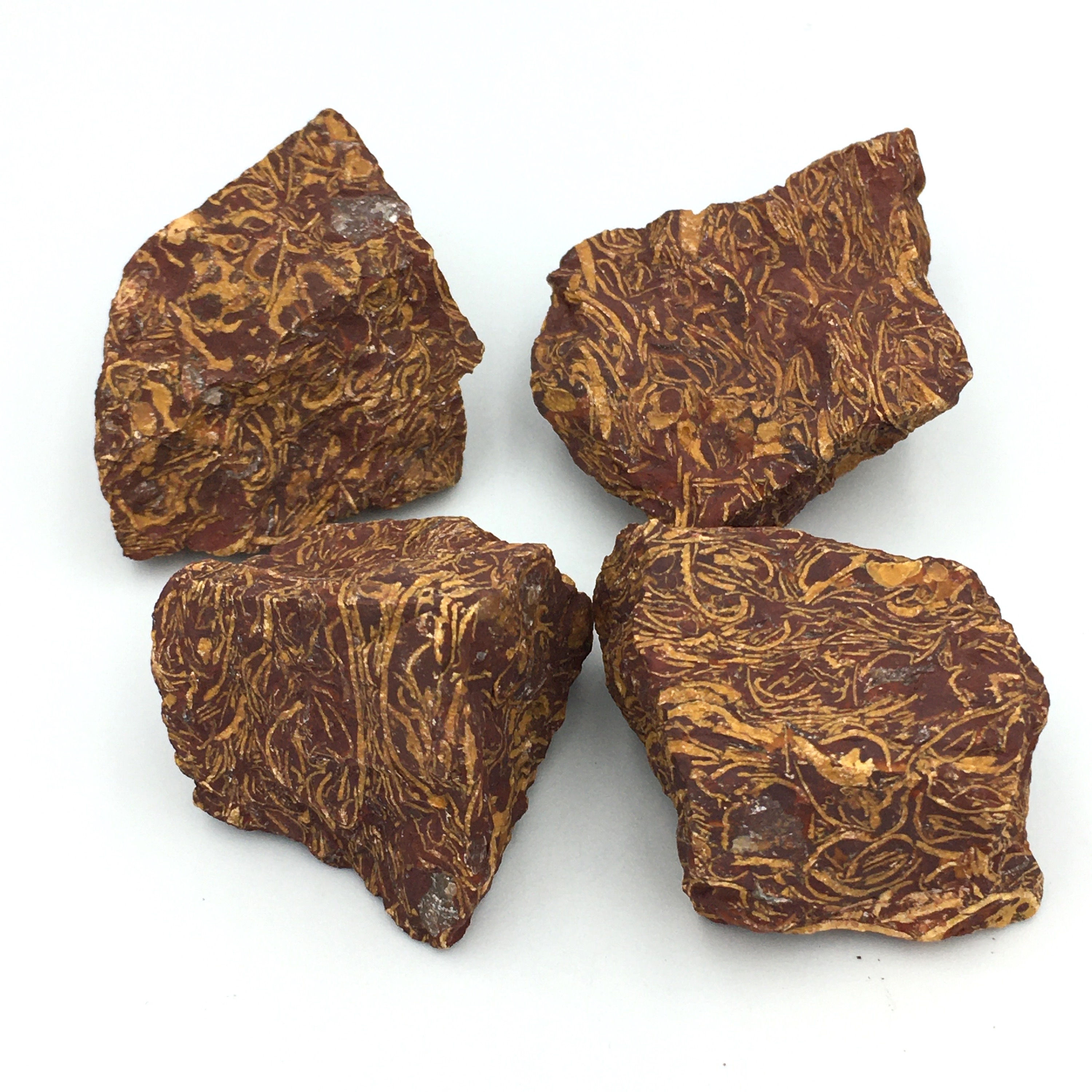 Coquina Jasper