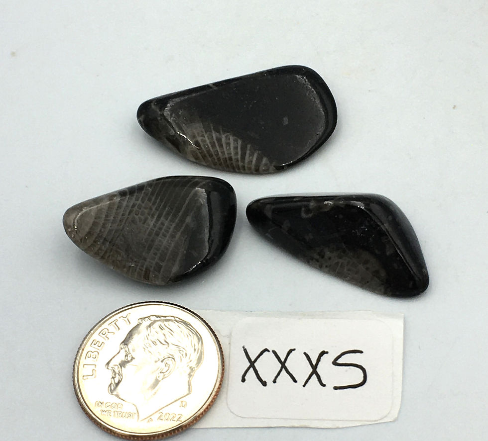 Thumbnail: Vatican Stone