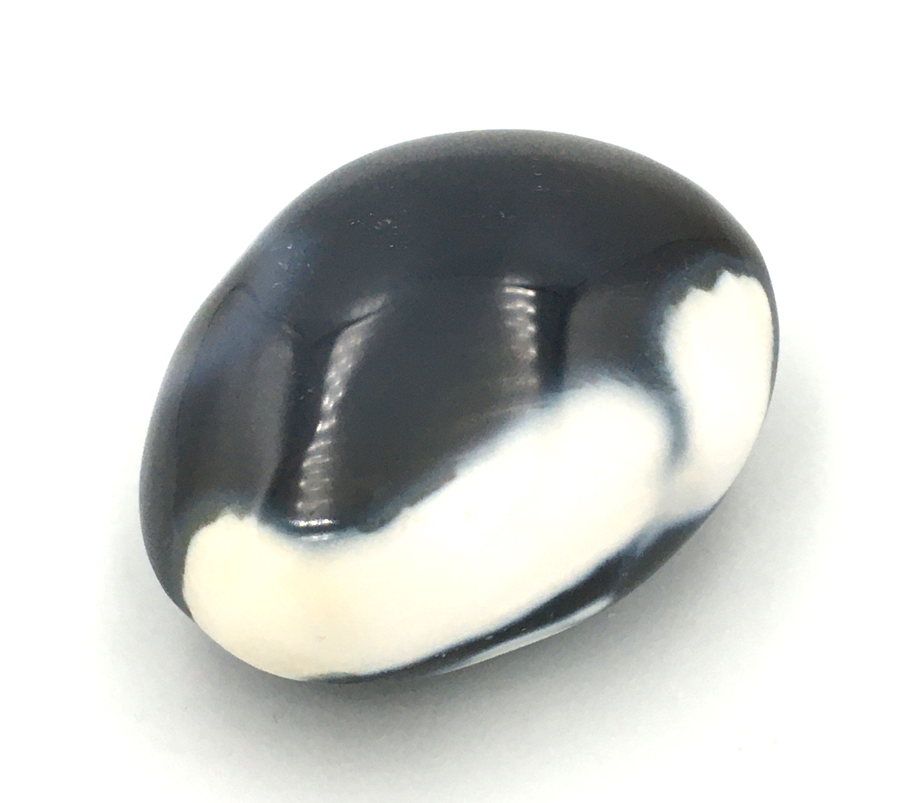 Orca Agate Palm Stone