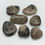 Thumbnail: Petoskey Stone