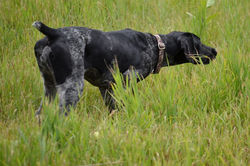 Journey- Black Female 6