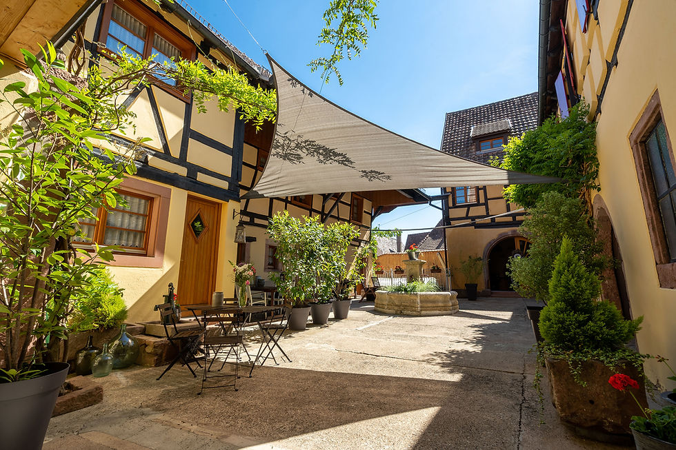 JON04374-HDR.jpg