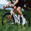 Thumbnail: BASSO Astra 105 Di2 Chroma White Bike